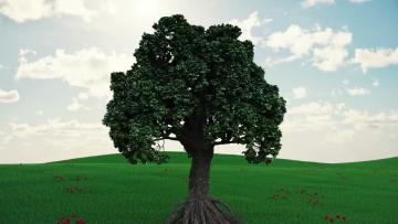  3D-Animatie Boom BNP Paribas Fortis