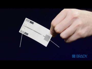 MOTCHA - Explainer video